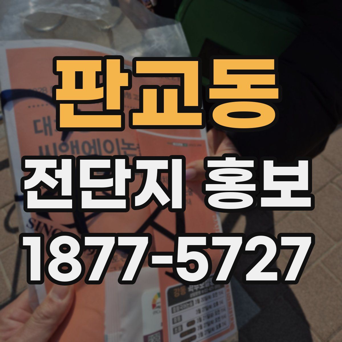 판교동 전단지 홍보