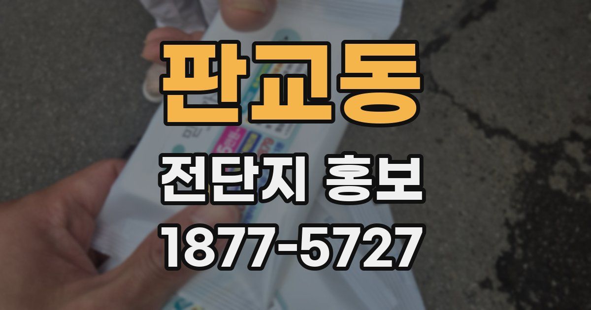판교동 전단지 홍보