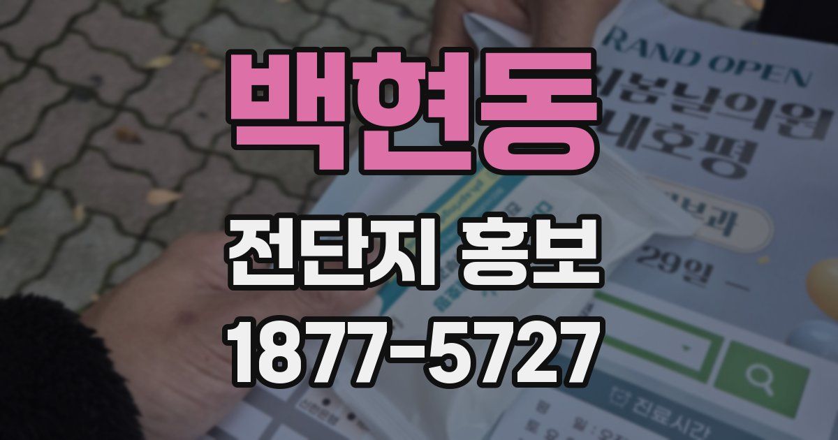 백현동 전단지 홍보