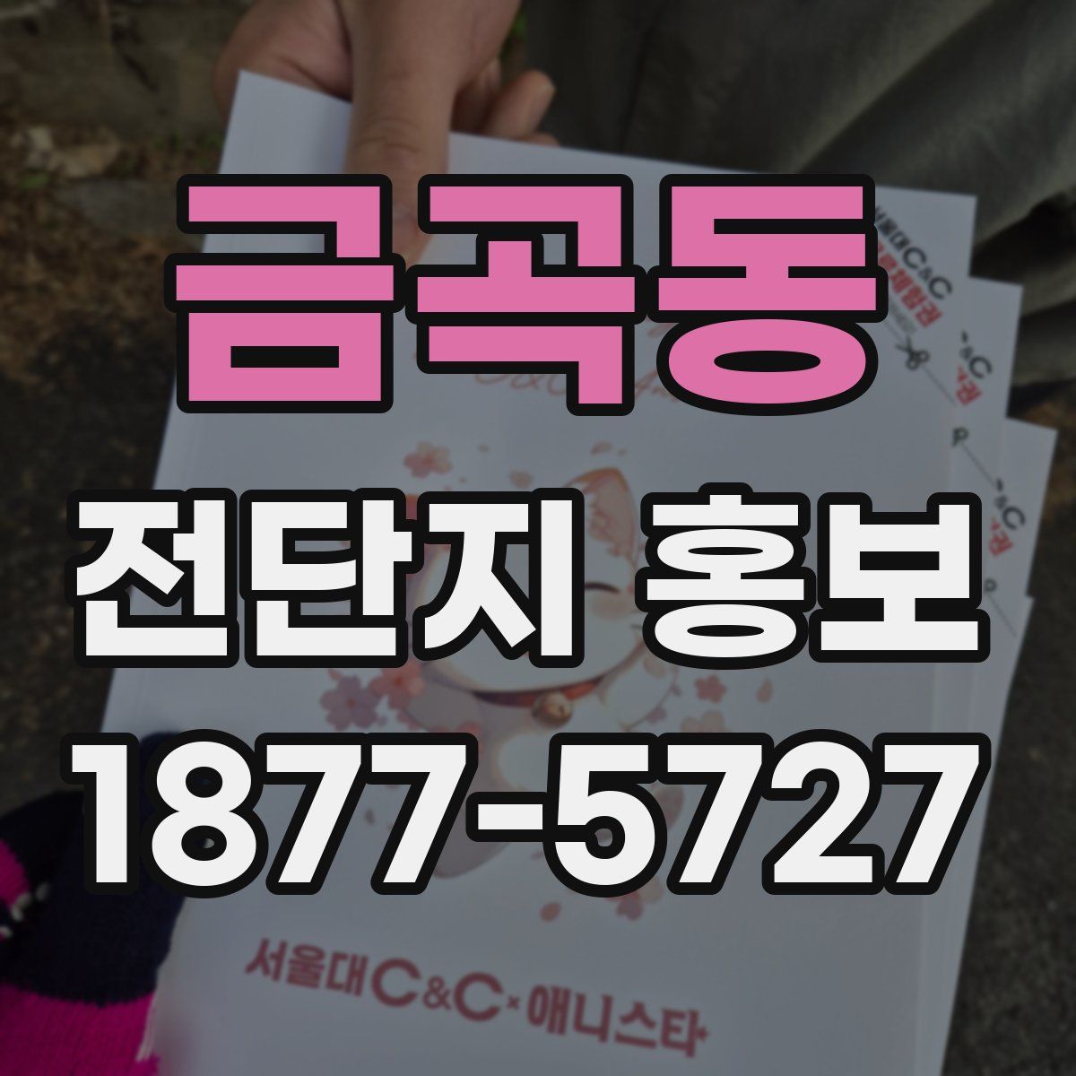 금곡동 전단지 홍보