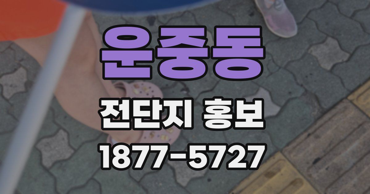 운중동 전단지 홍보