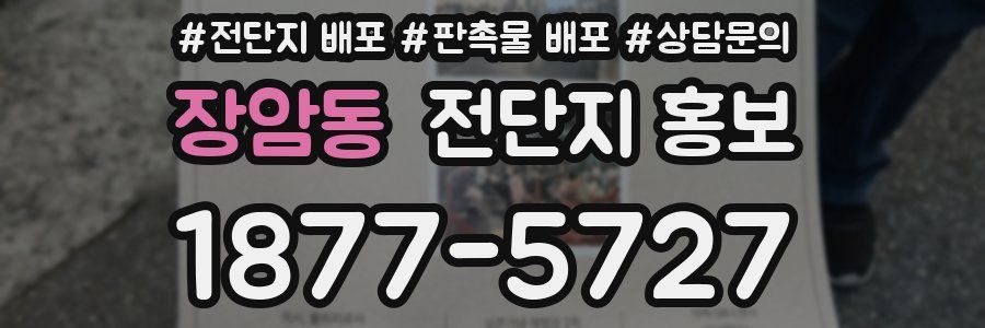 장암동 전단지 홍보