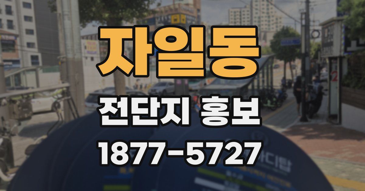 자일동 전단지 홍보