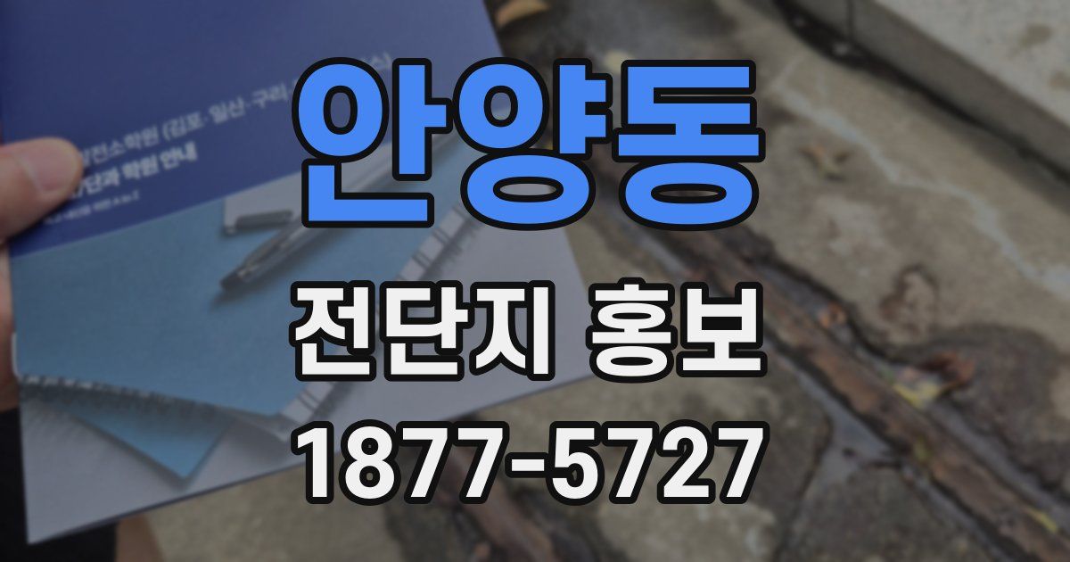 안양동 전단지 홍보