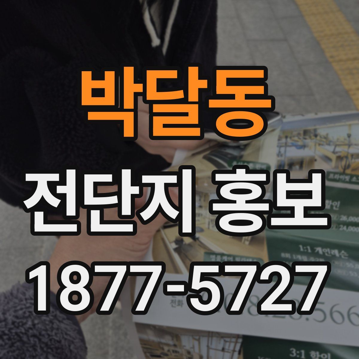 박달동 전단지 홍보