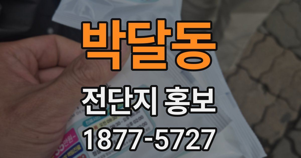 박달동 전단지 홍보