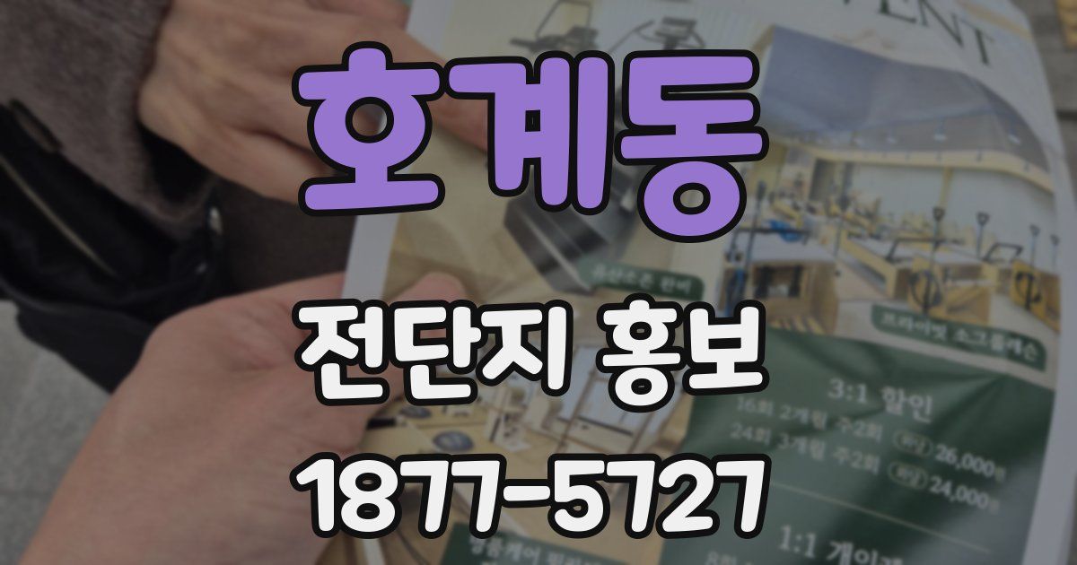 호계동 전단지 홍보