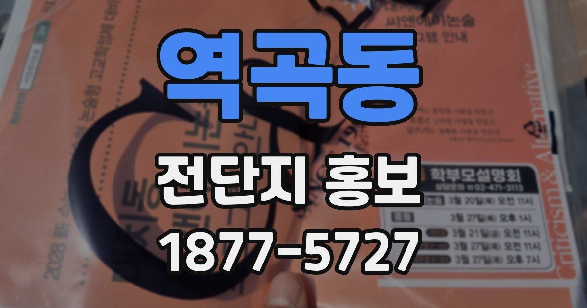 역곡동 전단지 홍보