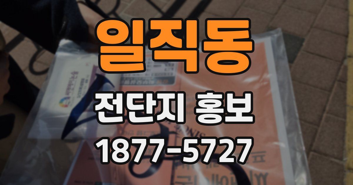 일직동 전단지 홍보