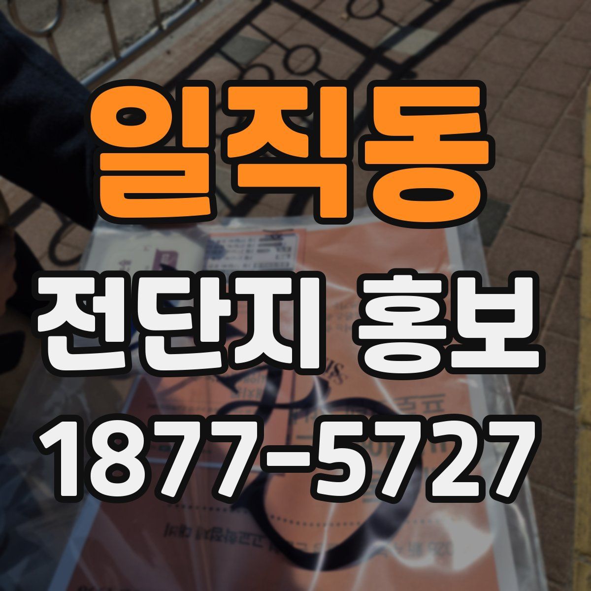 일직동 전단지 홍보