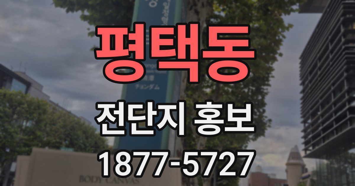 평택동 전단지 홍보