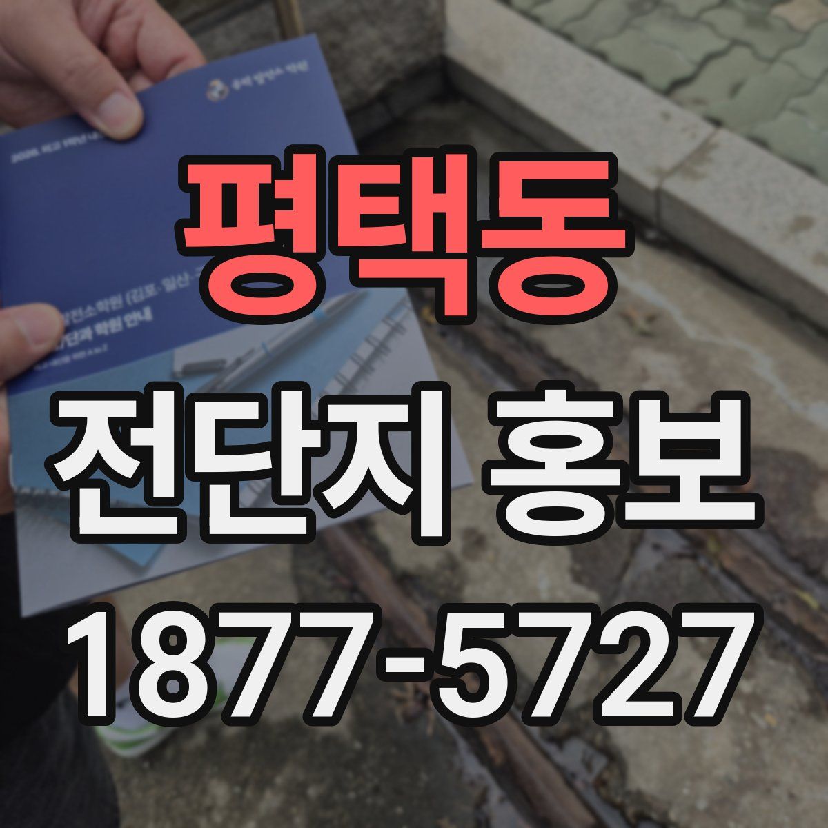 평택동 전단지 홍보