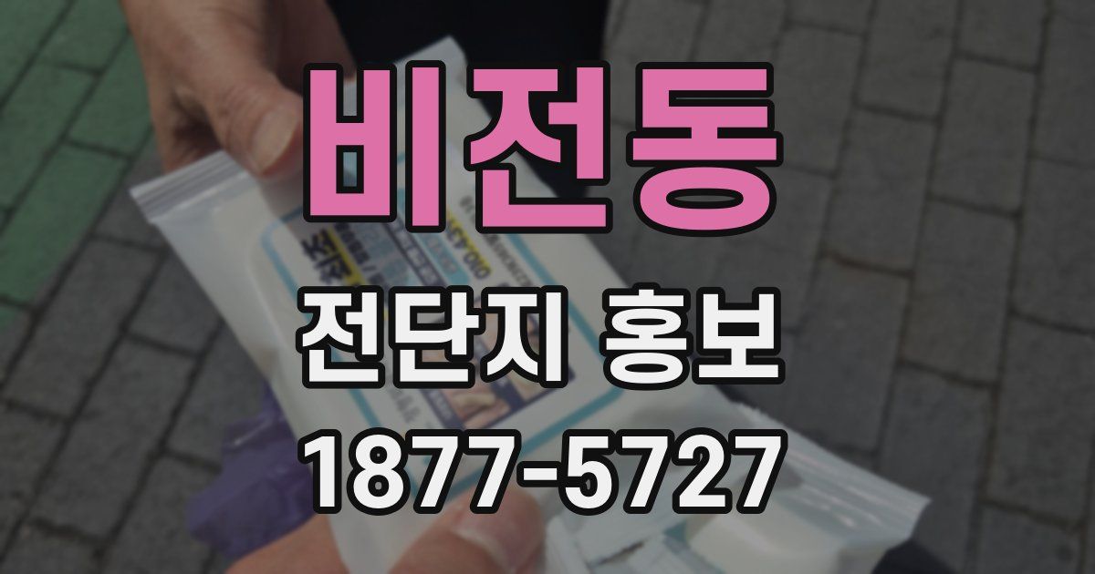 비전동 전단지 홍보