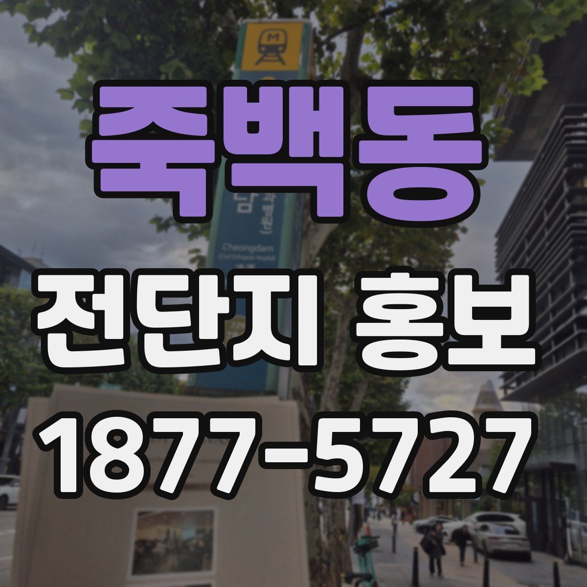 죽백동 전단지 홍보