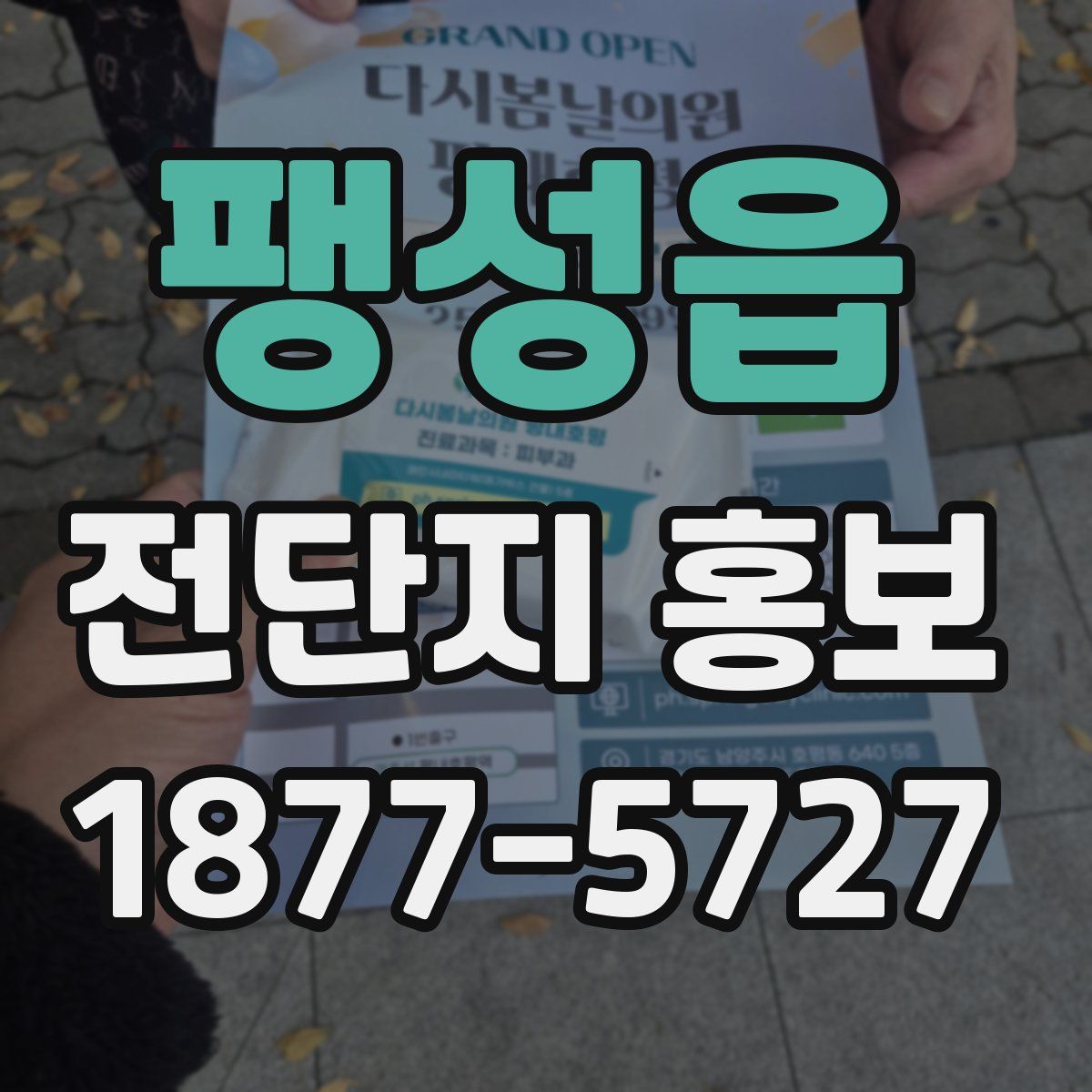 팽성읍 전단지 홍보