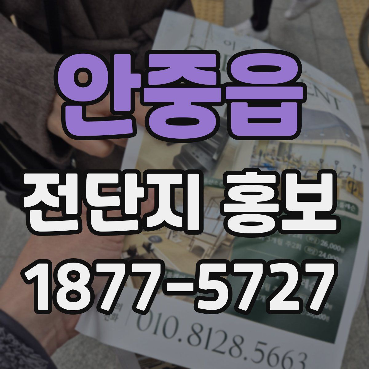 안중읍 전단지 홍보