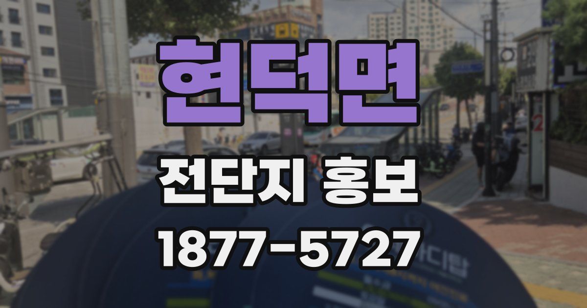 현덕면 전단지 홍보
