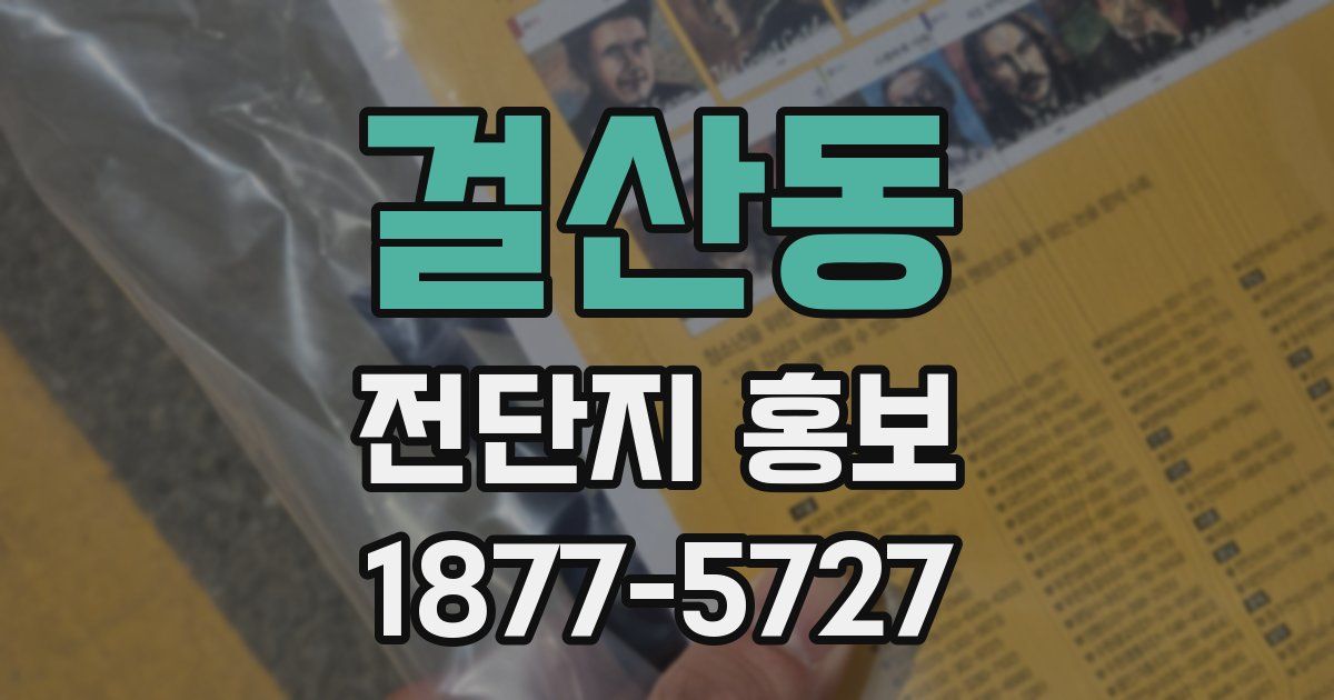 걸산동 전단지 홍보