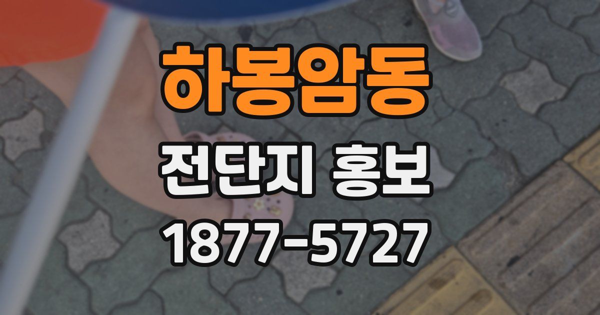 하봉암동 전단지 홍보