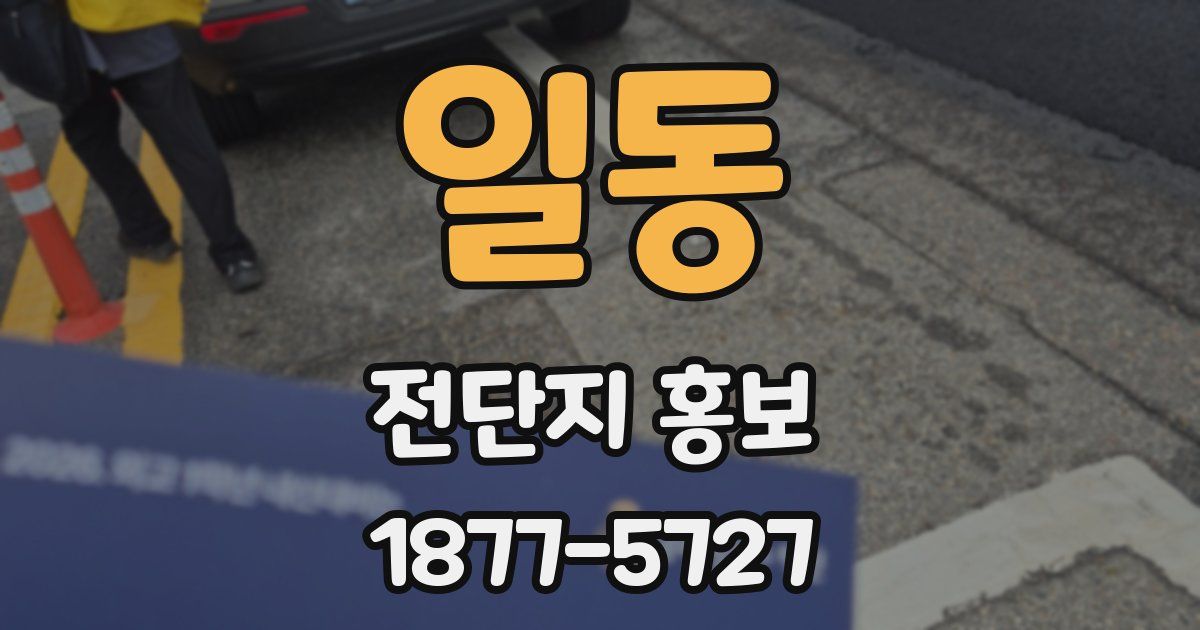 일동 전단지 홍보