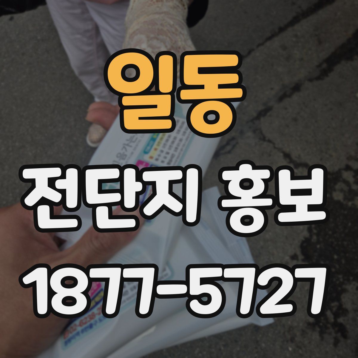 일동 전단지 홍보