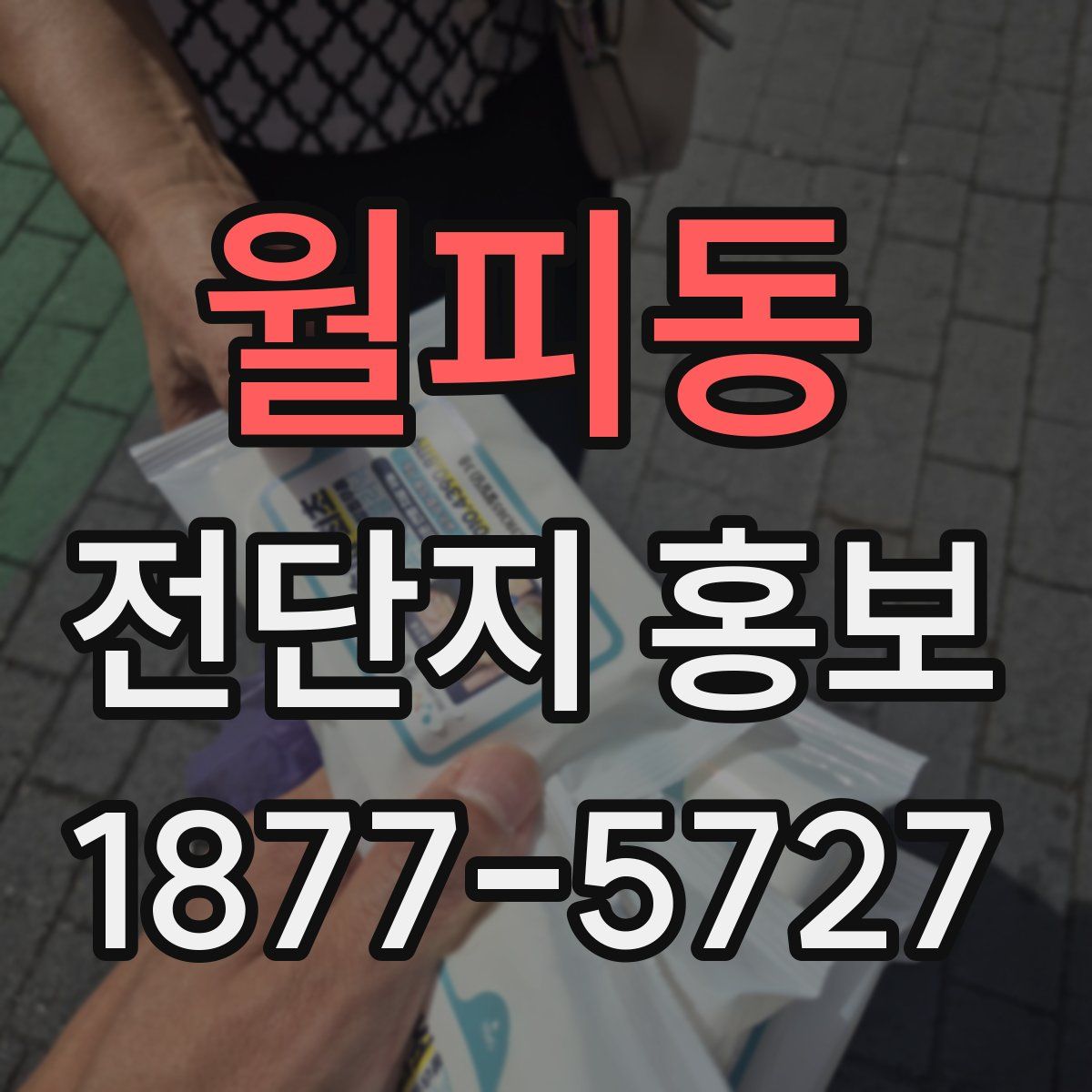 월피동 전단지 홍보