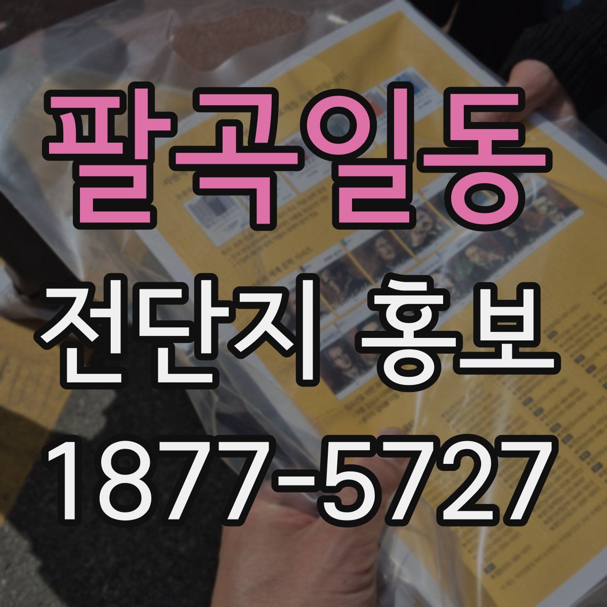 팔곡일동 전단지 홍보