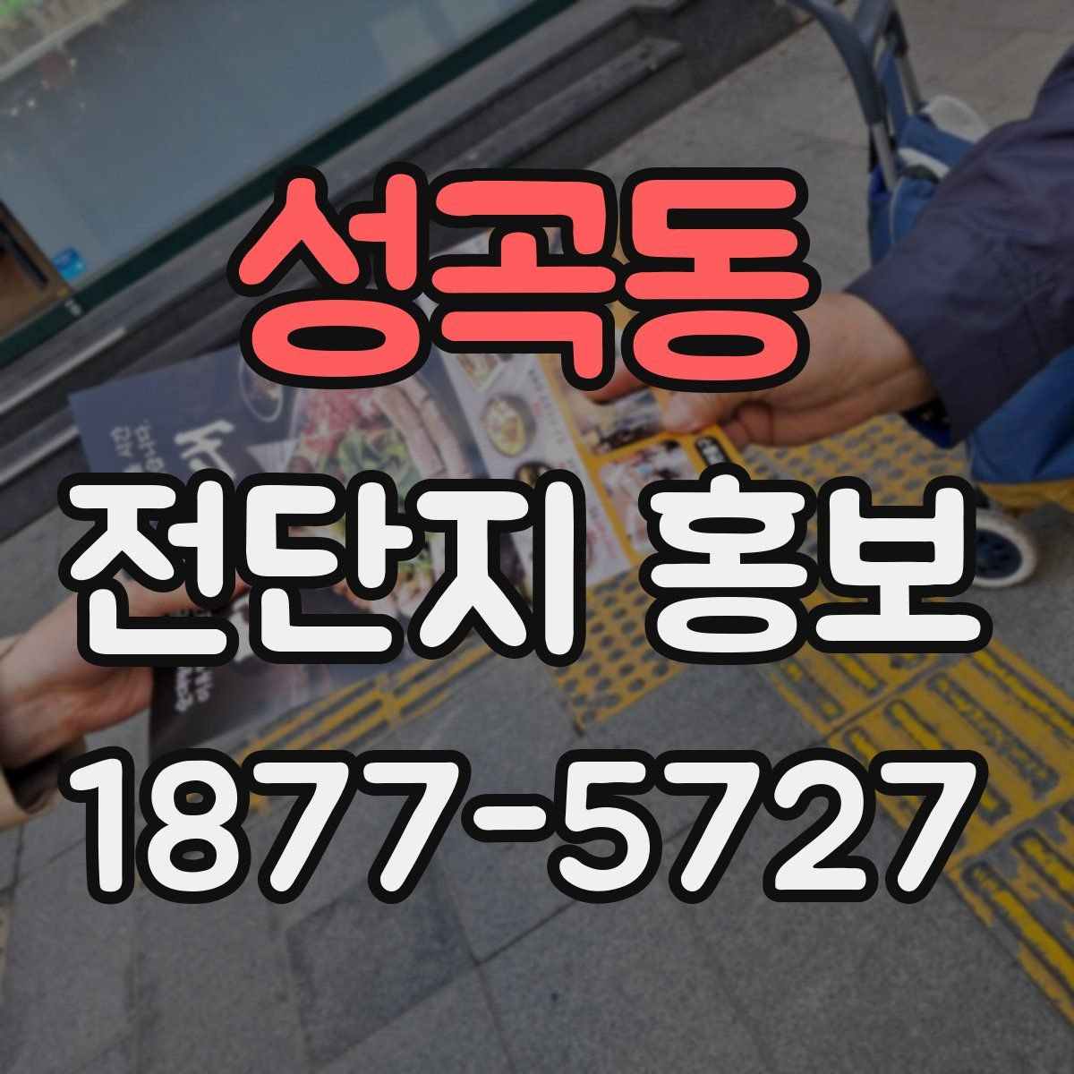 성곡동 전단지 홍보