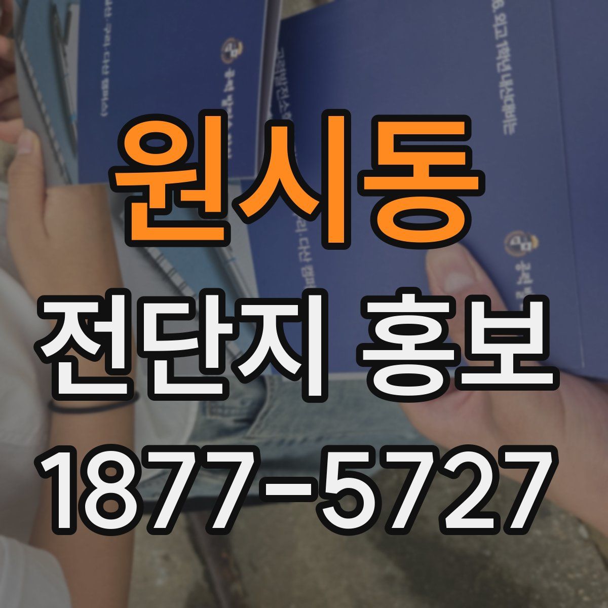 원시동 전단지 홍보