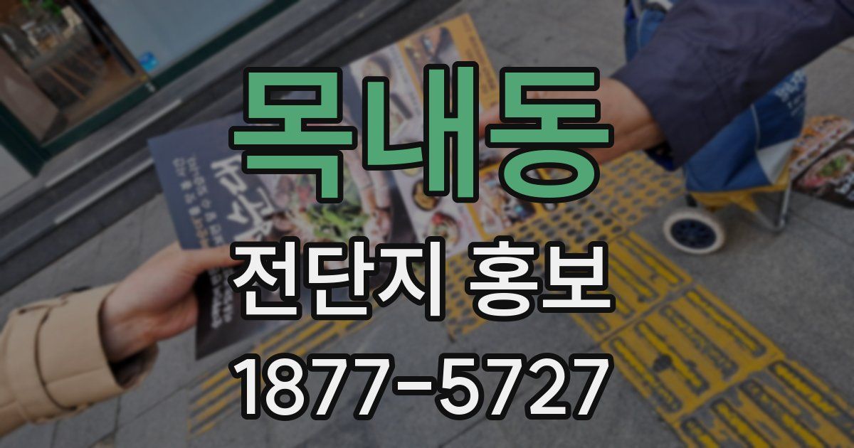 목내동 전단지 홍보