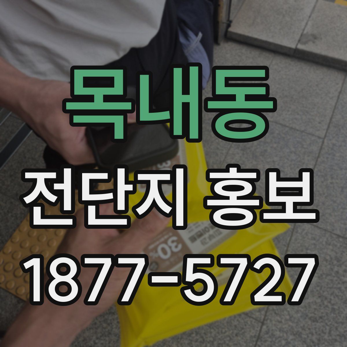 목내동 전단지 홍보