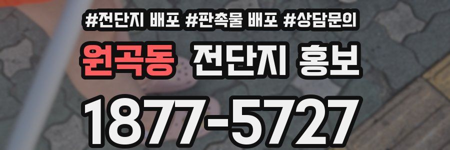 원곡동 전단지 홍보