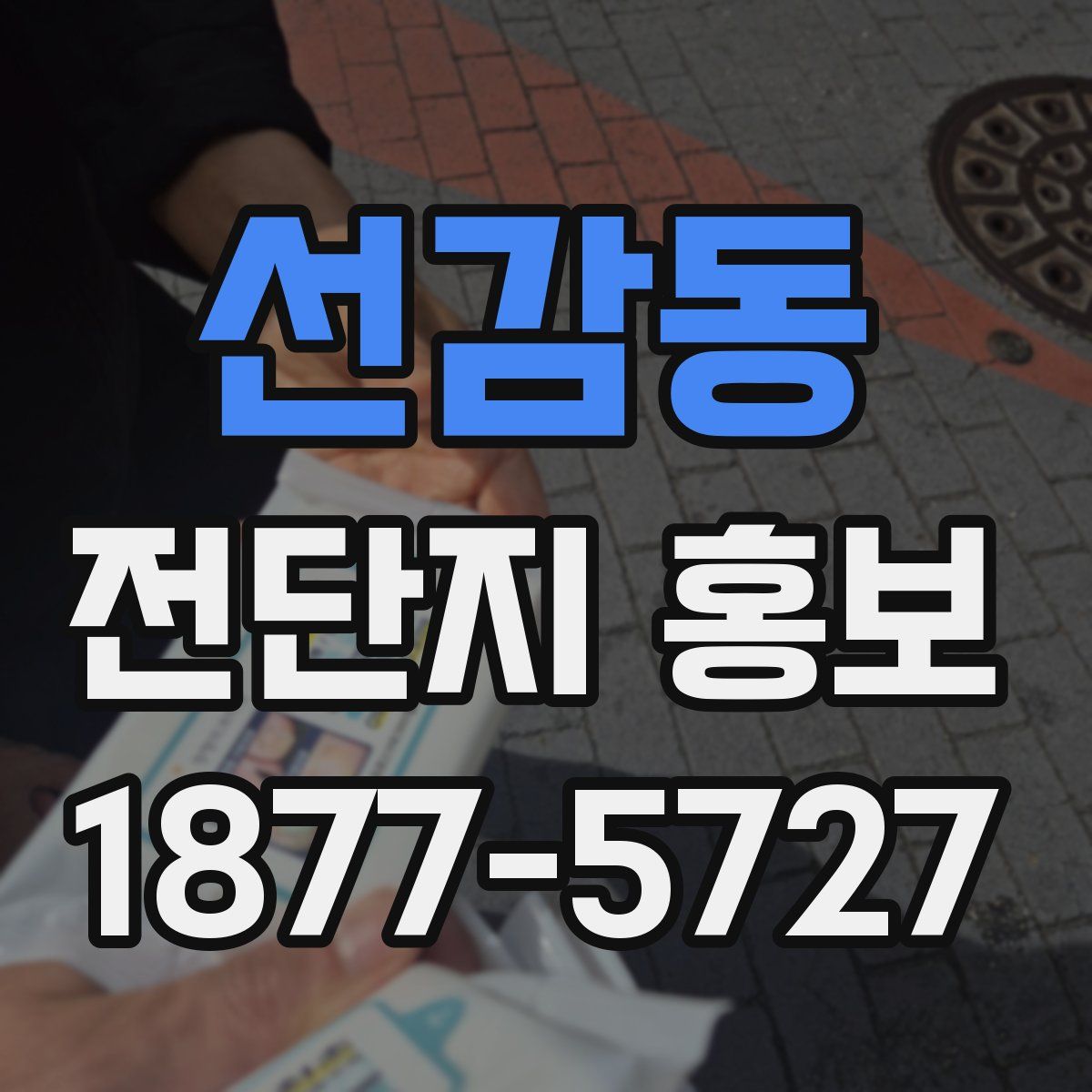 선감동 전단지 홍보