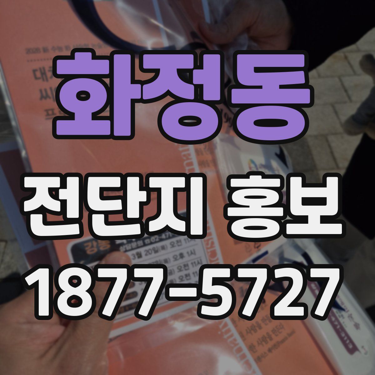 화정동 전단지 홍보