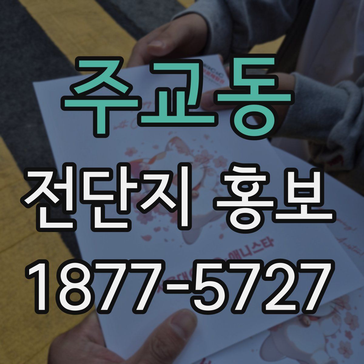 주교동 전단지 홍보