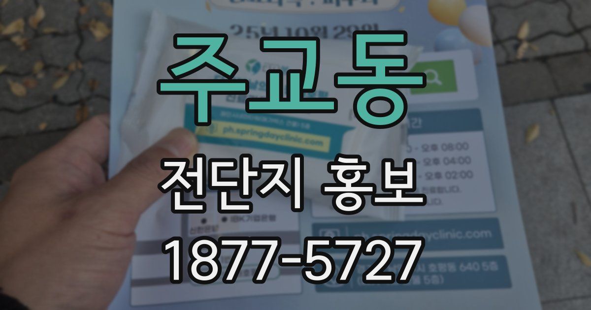 주교동 전단지 홍보