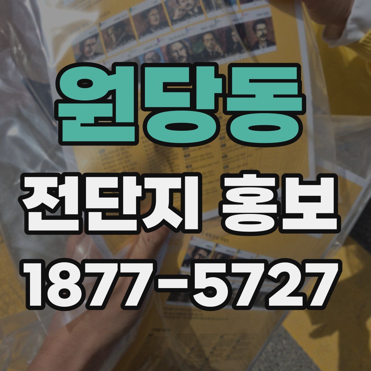 원당동 전단지 홍보