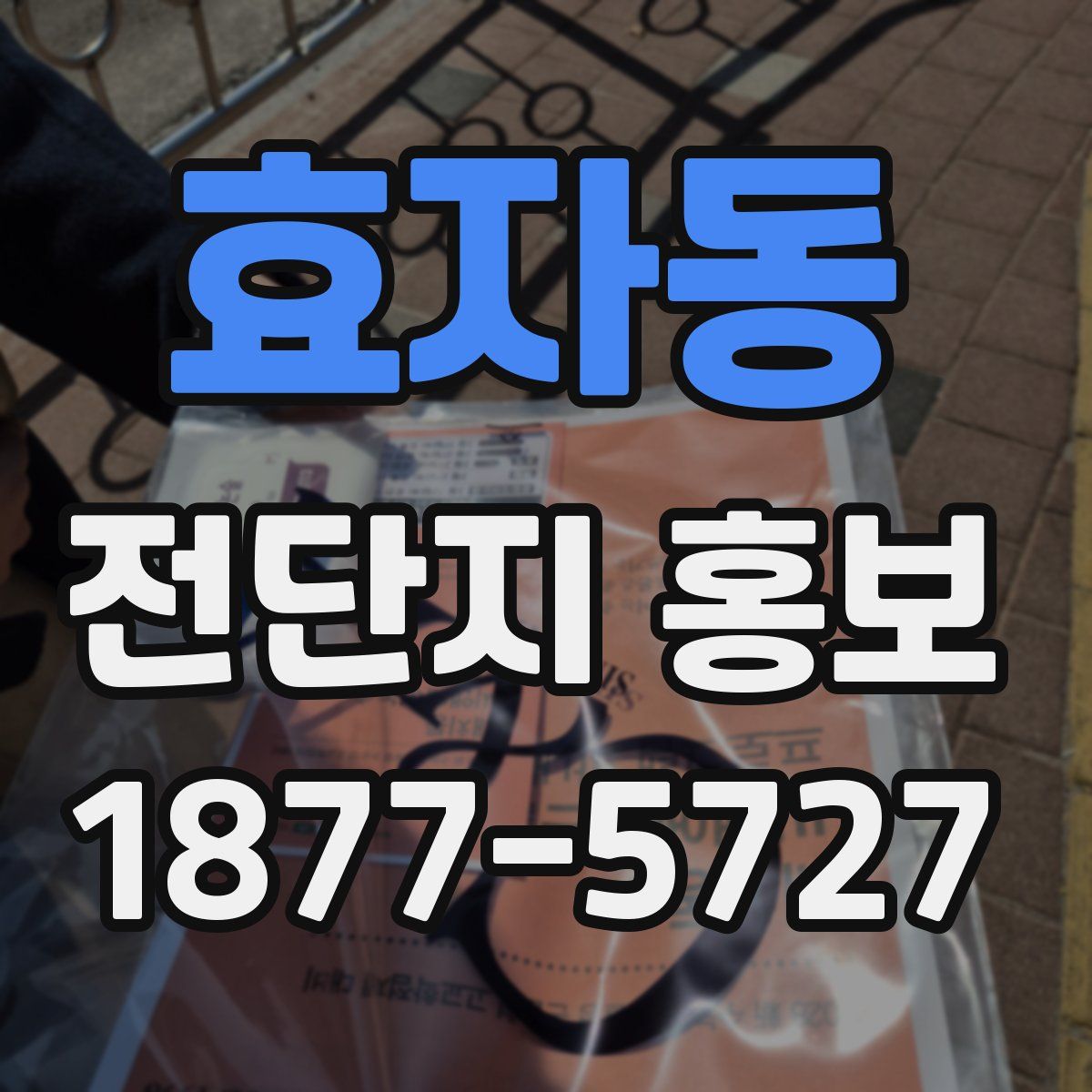 효자동 전단지 홍보