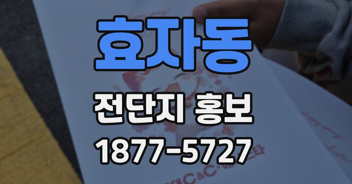 효자동 전단지 홍보