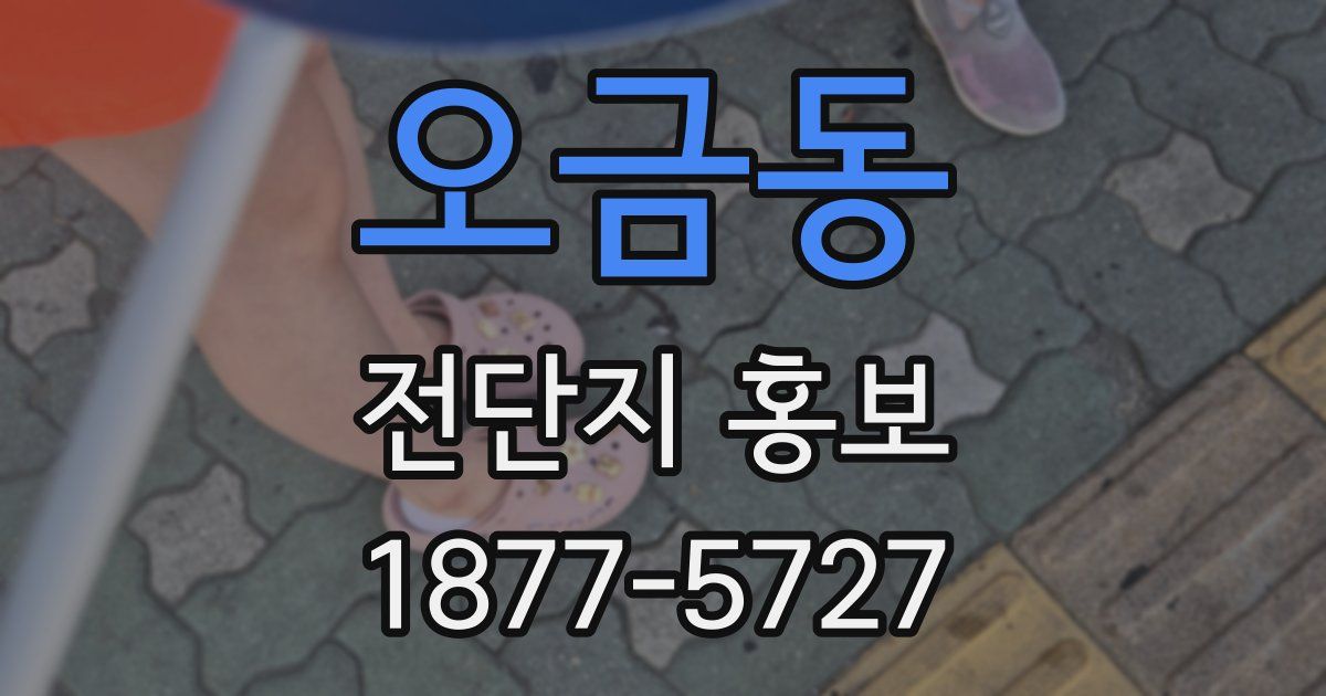 오금동 전단지 홍보