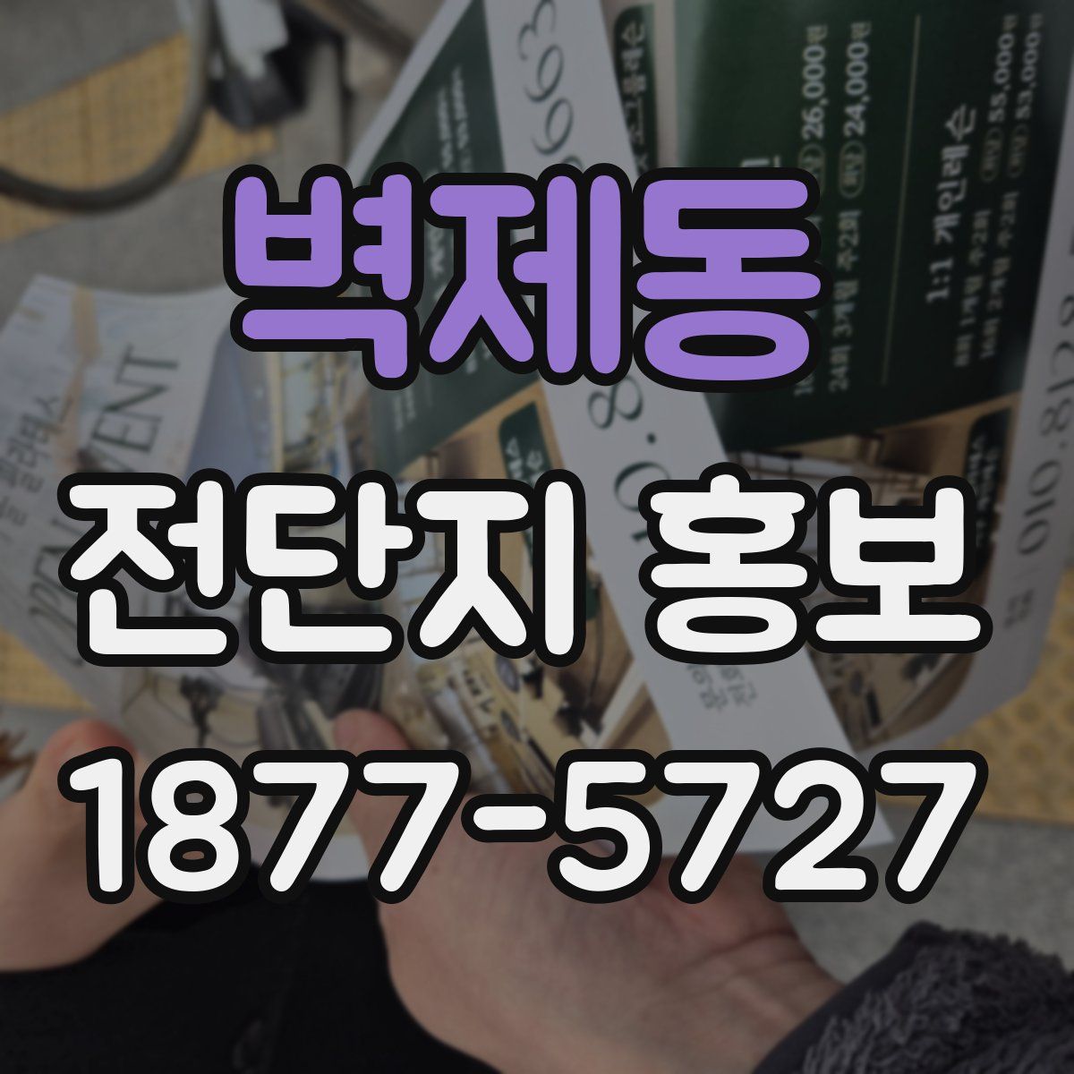 벽제동 전단지 홍보