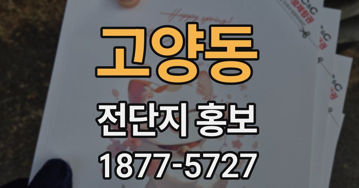 고양동 전단지 홍보