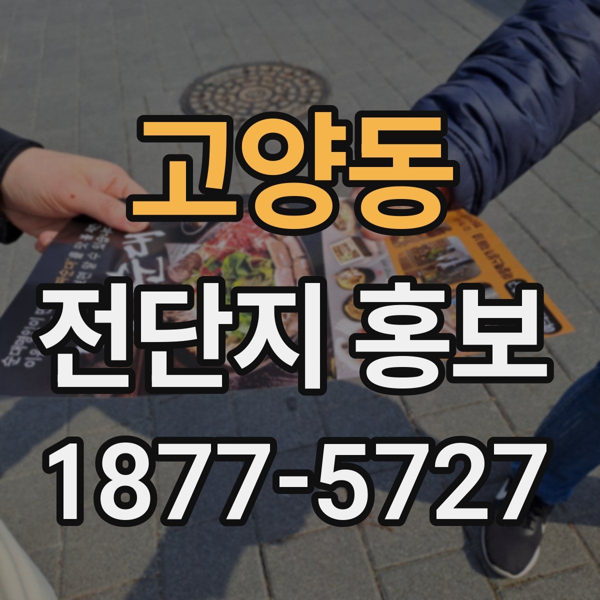 고양동 전단지 홍보