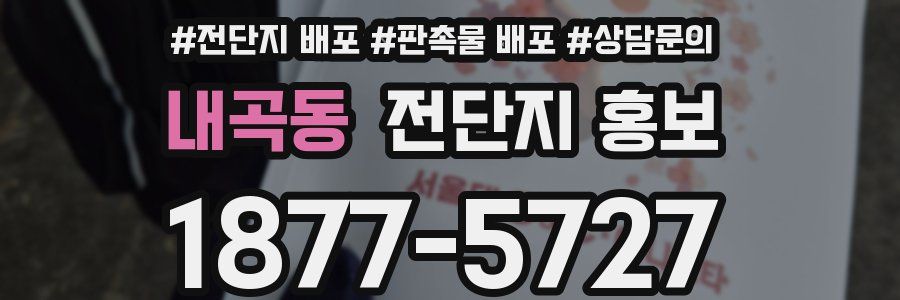 내곡동 전단지 홍보