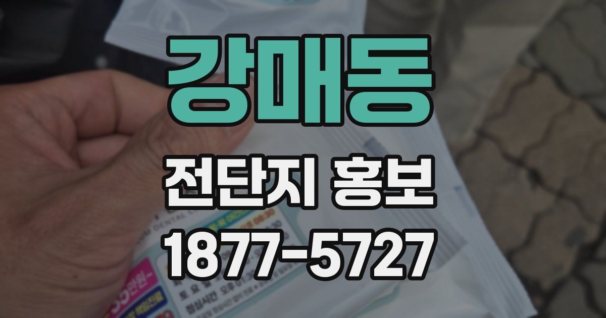 강매동 전단지 홍보