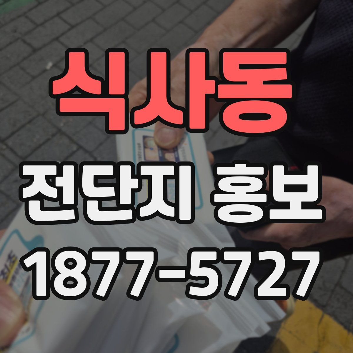 식사동 전단지 홍보