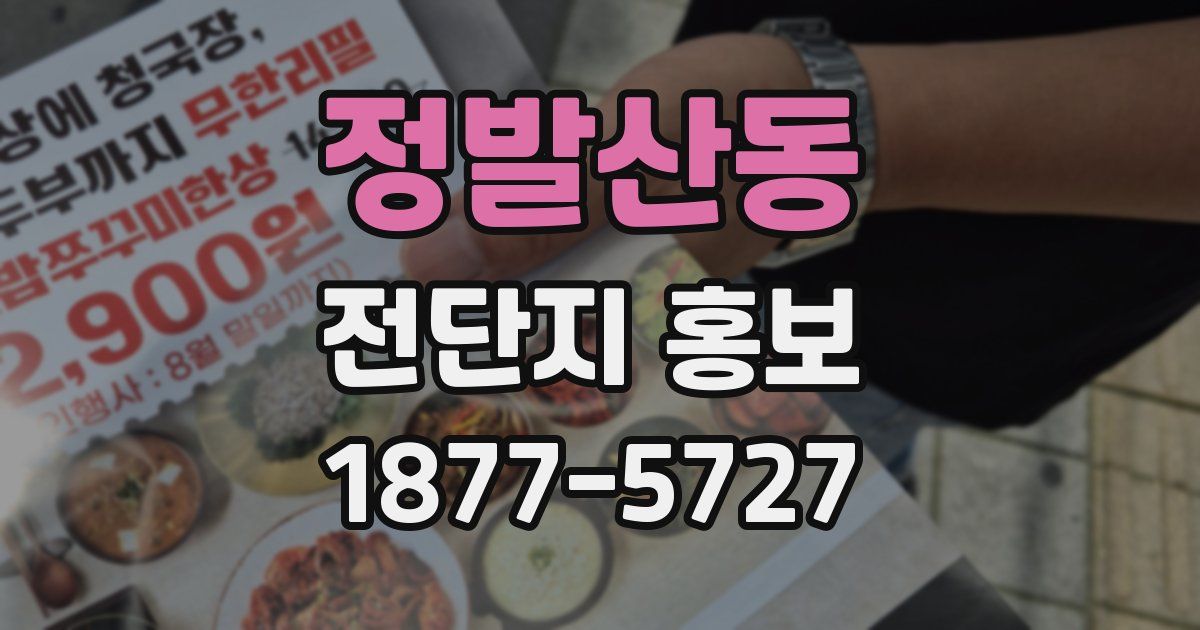 정발산동 전단지 홍보