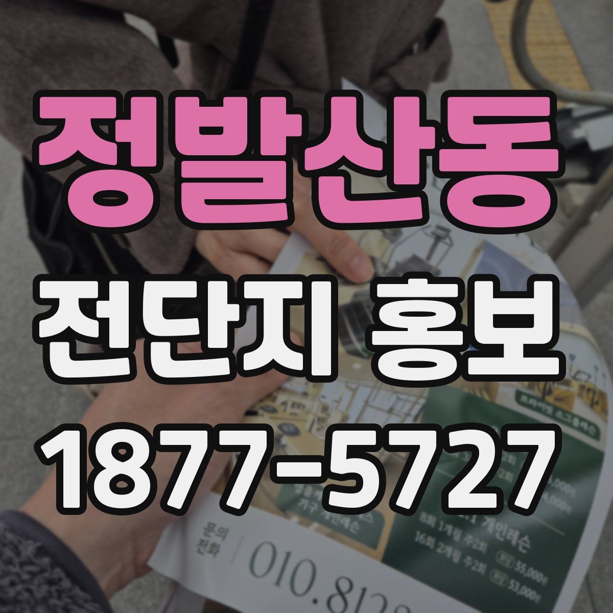 정발산동 전단지 홍보