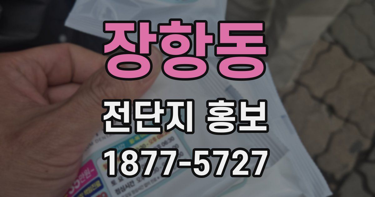 장항동 전단지 홍보