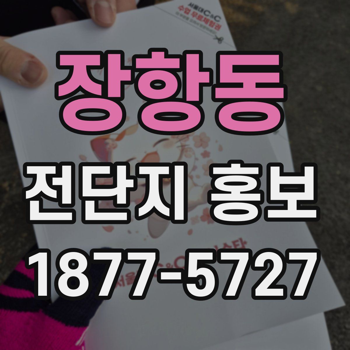 장항동 전단지 홍보